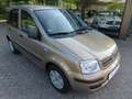 Fiat Panda 1.2 Dynamic *nur 13.300 km!!!*1.Hand*eFH*ZV*GJ-Rfn Grau - thumbnail 1