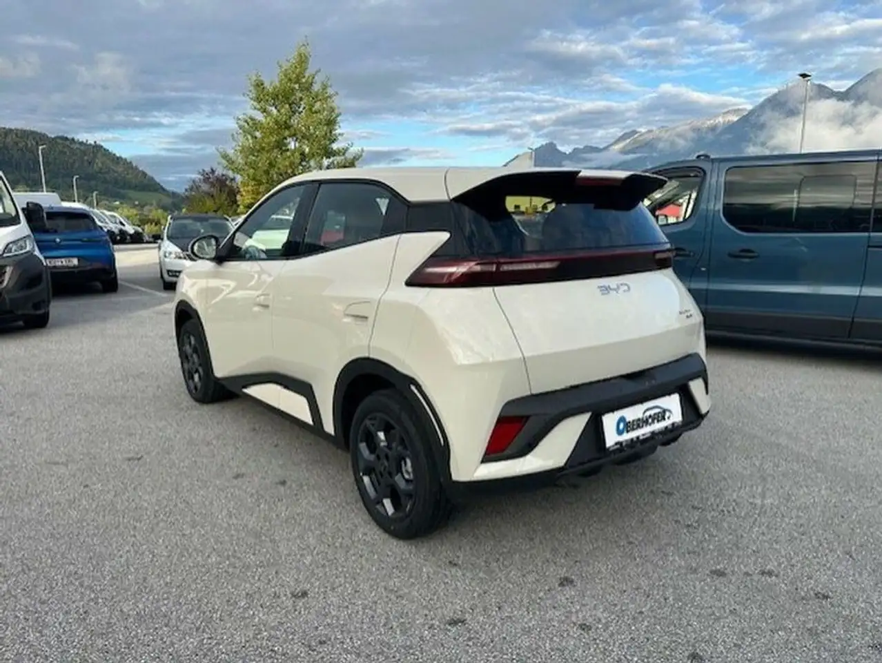 BYD DOLPHIN SURF