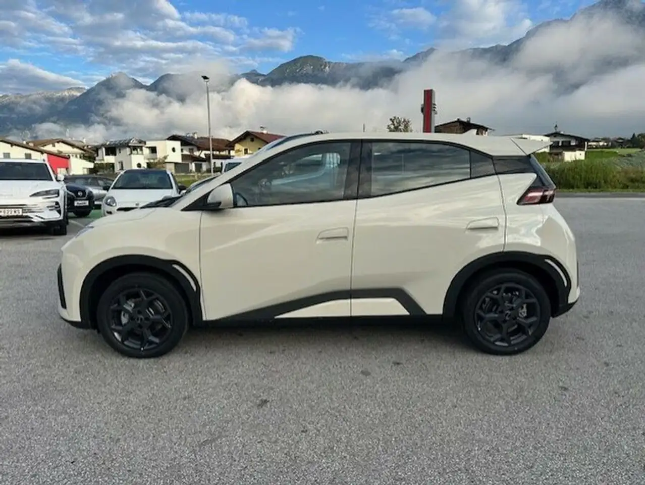BYD DOLPHIN SURF