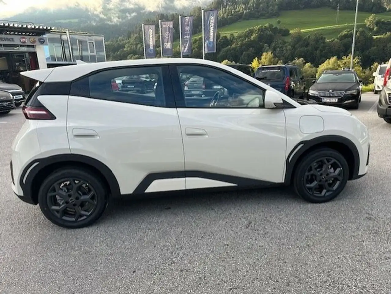 BYD DOLPHIN SURF