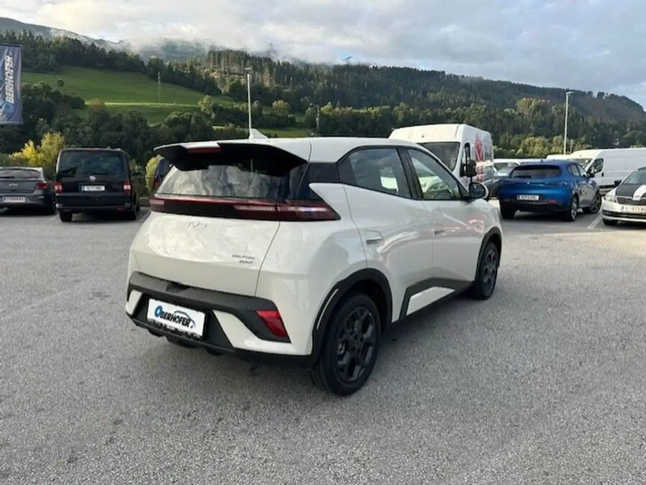 BYD DOLPHIN SURF
