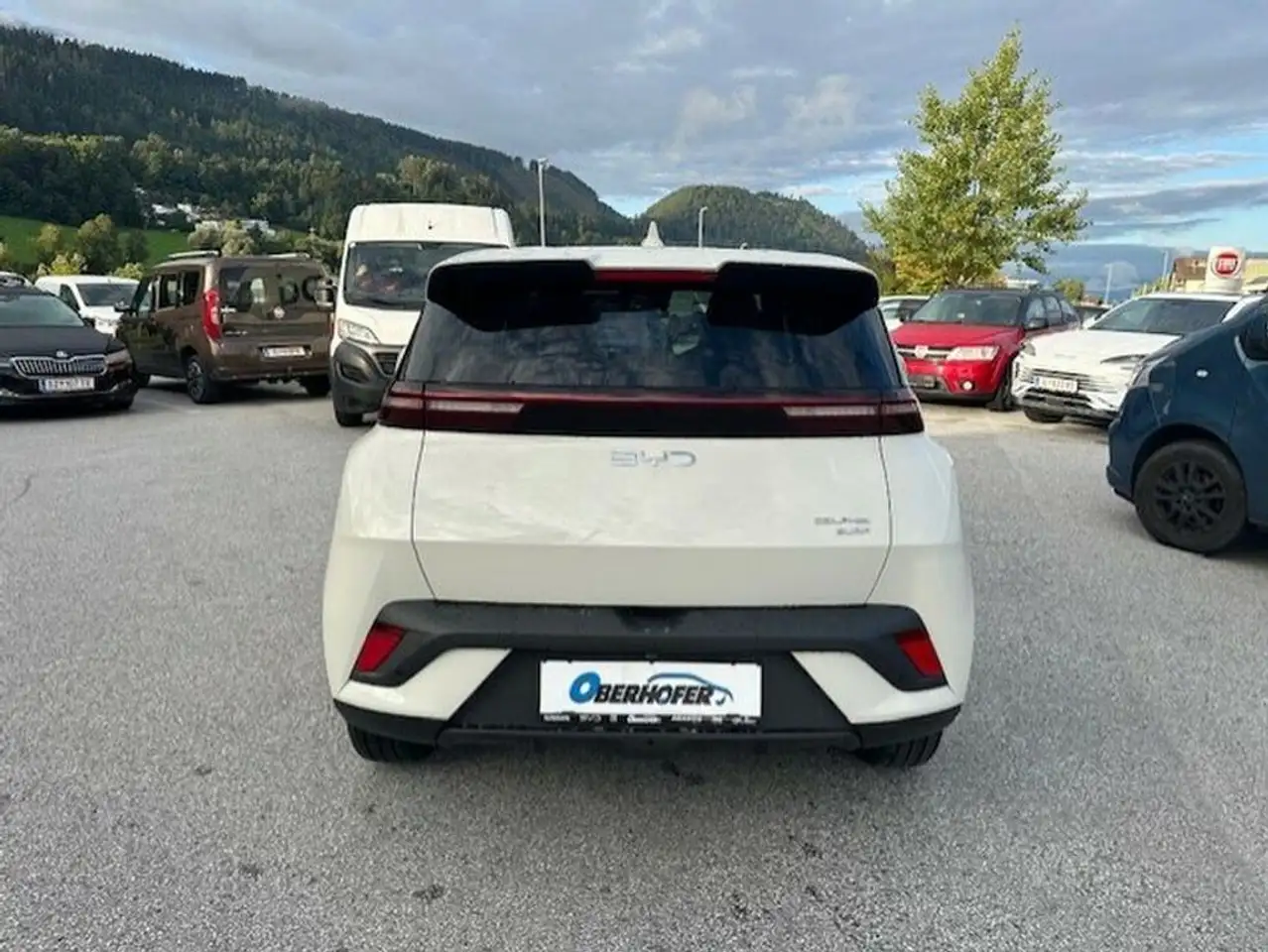 BYD DOLPHIN SURF