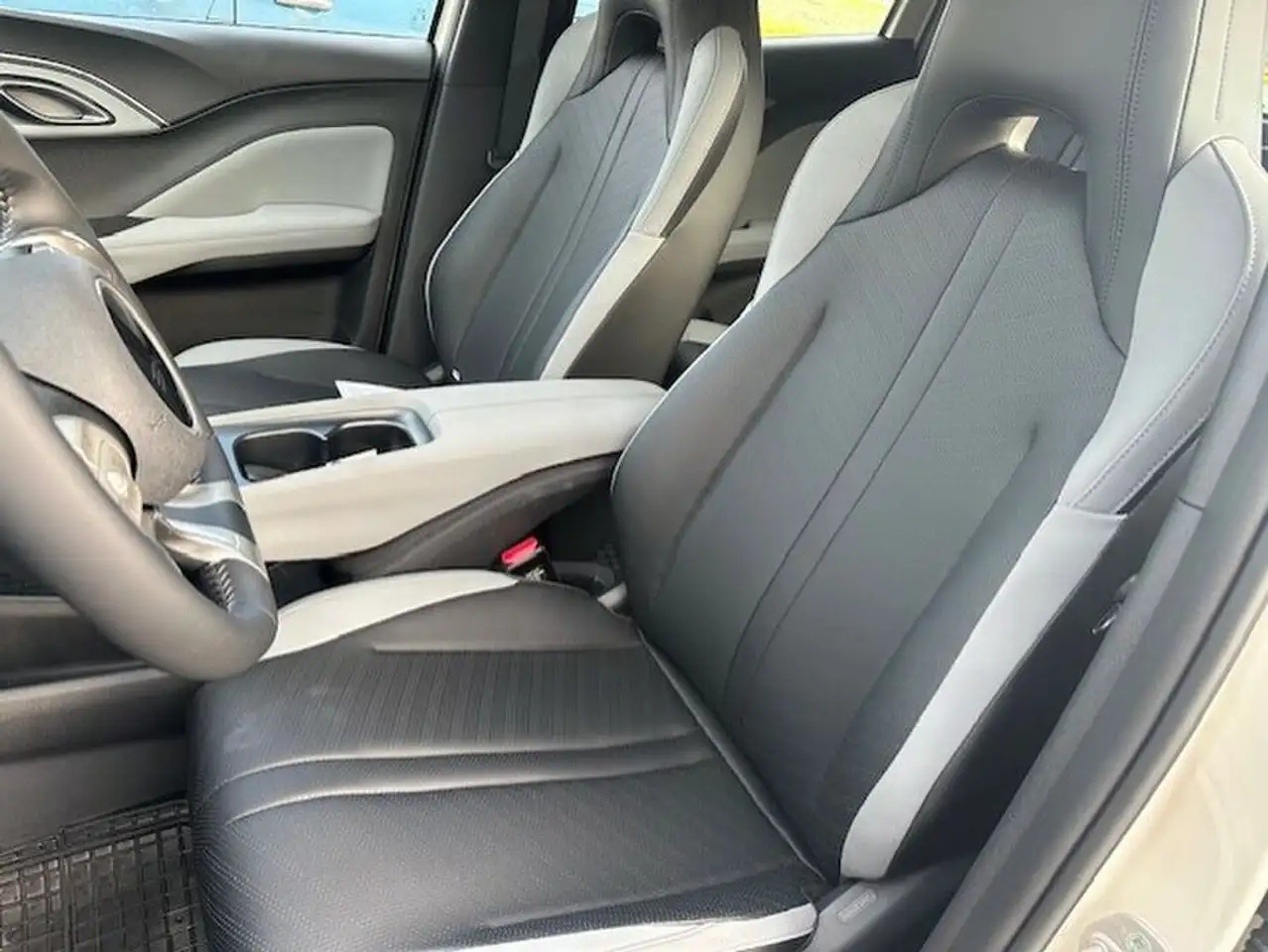 BYD DOLPHIN SURF