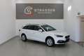 SEAT Leon Style Edition 1.5 eTSI DSG Weiß - thumbnail 1