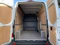 Mercedes-Benz Sprinter Sprinter 317 CDI Hoch DAB/GRA/360/SHZ Weiß - thumbnail 18