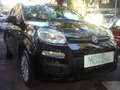 Fiat Panda 1.0 FireFly S&S Hybrid 5°posto Pack City Km0 Zwart - thumbnail 3