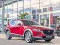 Mazda CX-30 2.5 G140 6AT EXCLUSIVE-LINE Rot - thumbnail 9