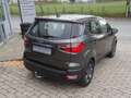Ford EcoSport ECOSPORT 1.0 EcoBoost COOL Grau - thumbnail 5