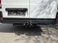 Volkswagen Crafter VW Crafter 35 T6 Kastenwagen L3H3 TDI Weiß - thumbnail 6