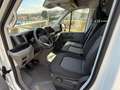 Volkswagen Crafter VW Crafter 35 T6 Kastenwagen L3H3 TDI Weiß - thumbnail 7