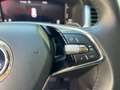 Skoda Kodiaq 1.5 TSI DSG Ambition 7-Sitzer KAMERA/LED Blau - thumbnail 16