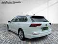 Volkswagen Golf Variant Golf VIII Variant 1.5 TSI Life LED/Navi/SHZ/Kam Weiß - thumbnail 4