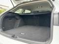 Volkswagen Golf Variant Golf VIII Variant 1.5 TSI Life LED/Navi/Kam/SHZ Weiß - thumbnail 8