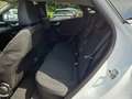 Ford Puma 1.0 EcoBoost Hybrid Aut. TITANIUM (J2K) Bianco - thumbnail 13