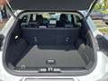 Ford Puma 1.0 EcoBoost Hybrid Aut. TITANIUM (J2K) Bianco - thumbnail 8