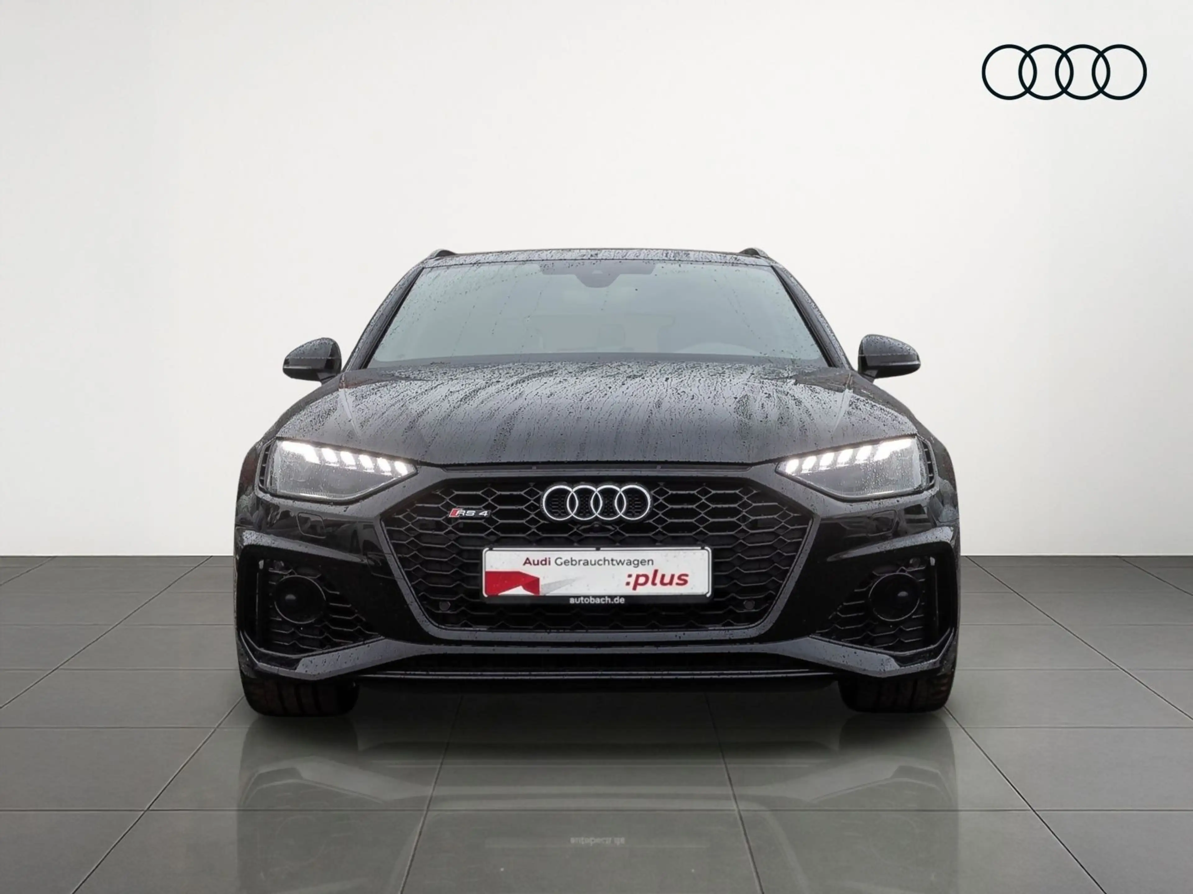 Audi RS4 RS4 Avant Navi Matrix ACC B&O CarPlay EPH — photo 3