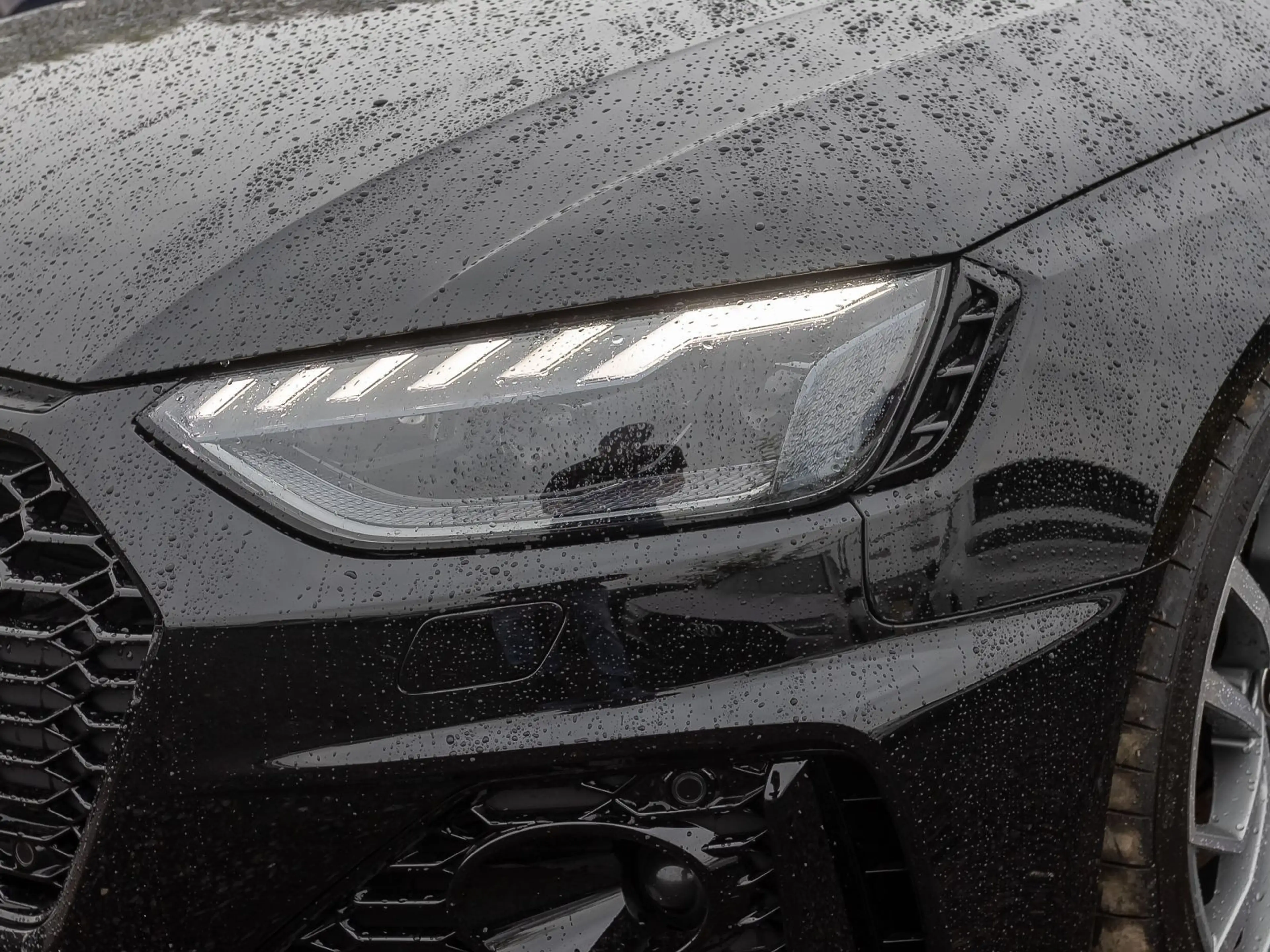 Audi RS4 RS4 Avant Navi Matrix ACC B&O CarPlay EPH — photo 10