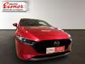 Mazda 3 SKYACTIV-G122 COMFORT Sitzheizung, Head Up Disp Rot - thumbnail 16