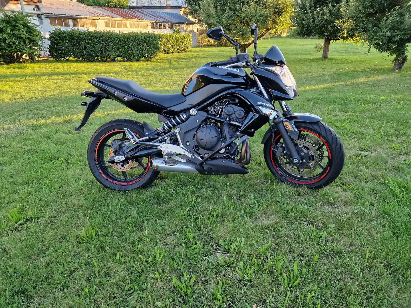 Kawasaki ER - 6 N Naked Bike Schwarz - 1