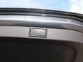 Skoda Octavia 2,0 TD DSG Panorama Head up Kamera 19 ´´ Gris - thumbnail 16