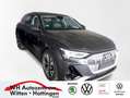 Audi e-tron 55 S line quattro PANORAMA LUFTFEDERUNG AHK ARE... Grau - thumbnail 1