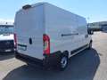 Fiat Ducato 33 2.2 Mjt 120CV PLM-TM Furgone Blanc - thumbnail 4