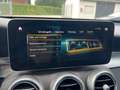Mercedes-Benz GLC 300 GLC300d 4Matic 9G-TR-MAGNO MATT-WIDESCREEN-AHK- Gris - thumbnail 24