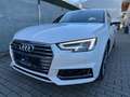 Audi A4 A4 Avant 40 TDI quattro S-line S-tronic*PANO*ACC* Weiß - thumbnail 14