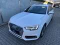 Audi A4 A4 Avant 40 TDI quattro S-line S-tronic*PANO*ACC* Weiß - thumbnail 7