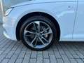 Audi A4 A4 Avant 40 TDI quattro S-line S-tronic*PANO*ACC* Weiß - thumbnail 16
