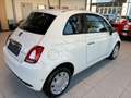 Fiat 500 1.0 Mild Hybrid Cult (EURO 6d) Weiß - thumbnail 7