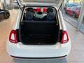 Fiat 500 1.0 Mild Hybrid Cult (EURO 6d) Weiß - thumbnail 6