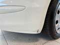 Fiat 500 1.0 Mild Hybrid Cult (EURO 6d) Weiß - thumbnail 22