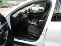 Ford Kuga Plug-In Hybrid Titanium Weiß - thumbnail 9