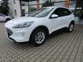 Ford Kuga Plug-In Hybrid Titanium Weiß - thumbnail 3
