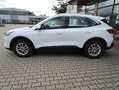 Ford Kuga Plug-In Hybrid Titanium Weiß - thumbnail 5