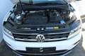 Volkswagen Tiguan 2.0 TDI Highline 4Motion DSG Leder Navi LED ACC St Weiß - thumbnail 8