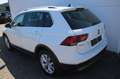 Volkswagen Tiguan 2.0 TDI Highline 4Motion DSG Leder Navi LED ACC St Weiß - thumbnail 3