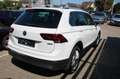 Volkswagen Tiguan 2.0 TDI Highline 4Motion DSG Leder Navi LED ACC St Weiß - thumbnail 5