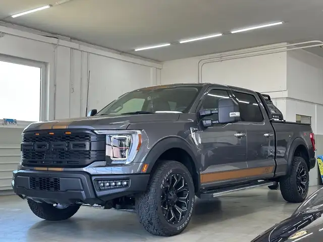 Ford F-150 /5.0/V8/4X4
