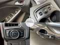 Ford Focus Lim. Titanium NEU ZAHNRIEMEN+KUPPLUNG+SERV Negro - thumbnail 30
