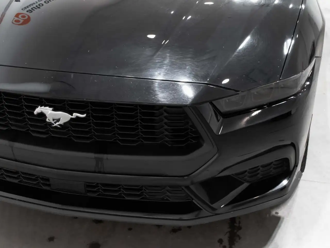 Ford Mustang снимка Ford Mustang