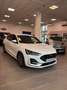 Ford Focus 1.0t ecoboost h ST-Line 125cv Bianco - thumbnail 1