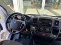 Peugeot Boxer 330 2.2 BlueHDi 140 S&S PC-TN Furgone, IVA eslusa Bianco - thumbnail 12
