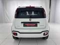 Fiat Panda Cross 1.0 FireFly Hybrid Blanc - thumbnail 14