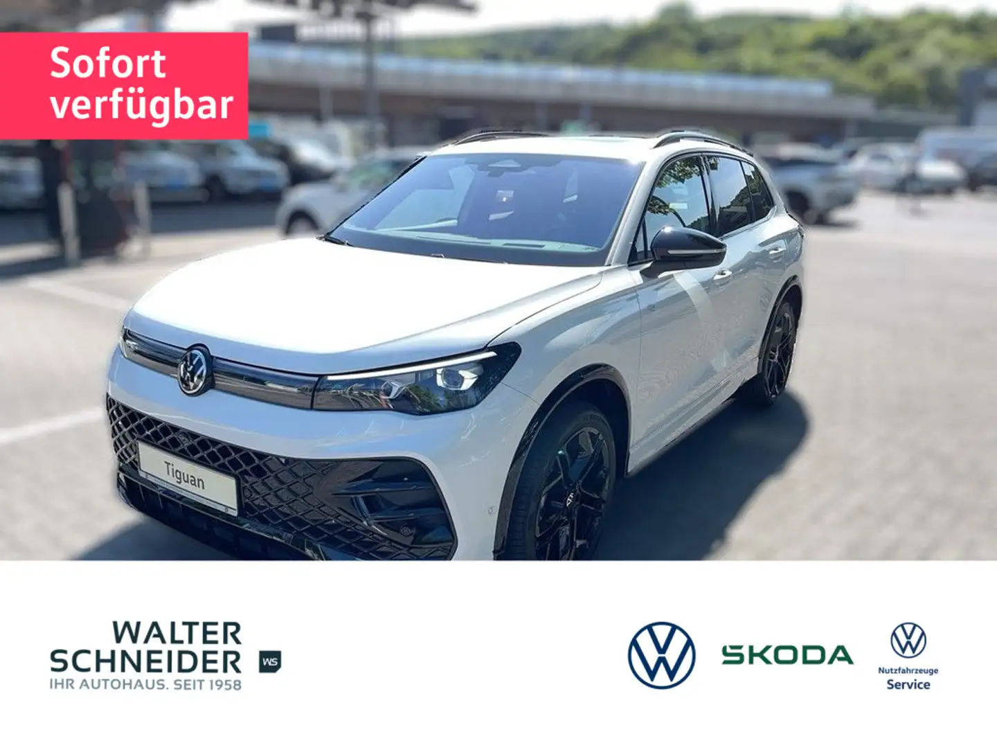 Volkswagen Tiguan R-Line 2.0 TDI 193 PS DSG Navi AHK IQ SHZ Weiß - 1