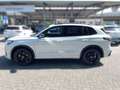 Volkswagen Tiguan R-Line 2.0 TDI 193 PS DSG Navi AHK IQ SHZ Weiß - thumbnail 3