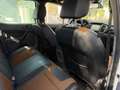 Ford Ranger Ranger Doppelkabine Wildtrak 4x4 3,2 TDCi Aut. Weiß - thumbnail 12