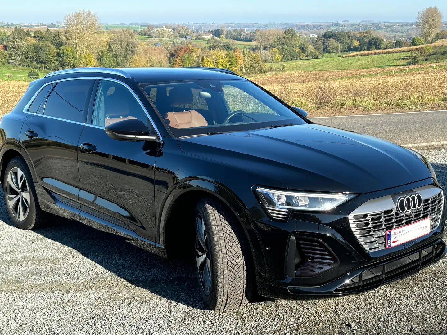Audi Q8 e-tron 89 kWh 50 Quattro S line Zwart - 2