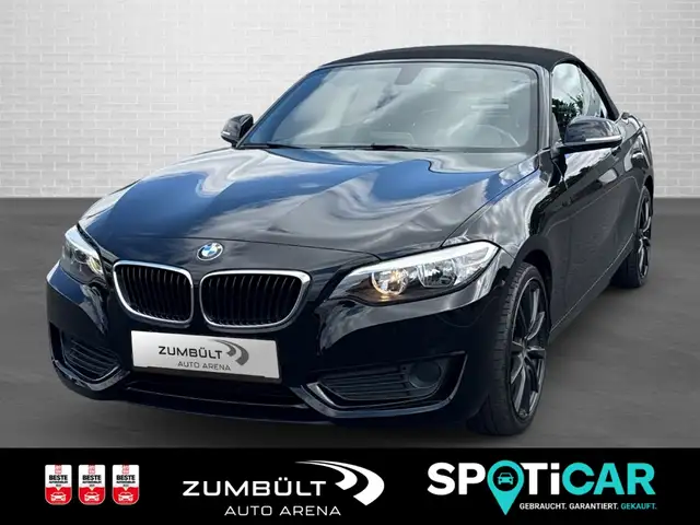 BMW 218 i Cabrio 2er - 218i +SHZ Kamera CarPlay DAB LMFelg